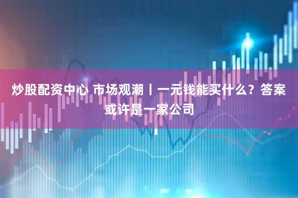 炒股配资中心 市场观潮丨一元钱能买什么？答案或许是一家公司