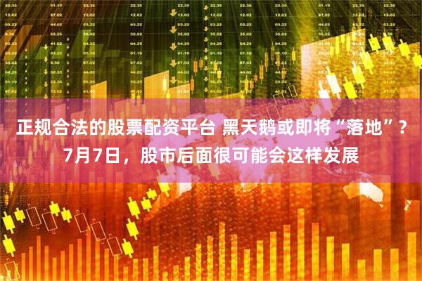 正规合法的股票配资平台 黑天鹅或即将“落地”？7月7日，股市后面很可能会这样发展