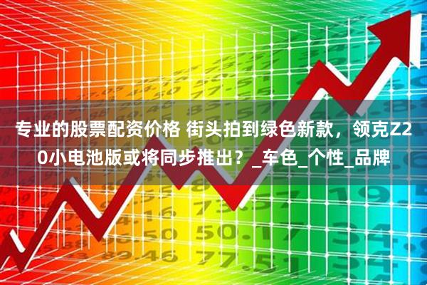 专业的股票配资价格 街头拍到绿色新款，领克Z20小电池版或将同步推出？_车色_个性_品牌