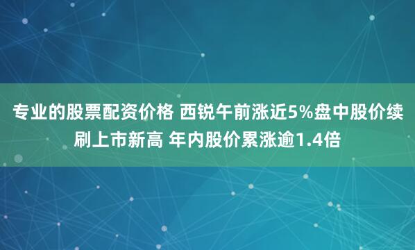 专业的股票配资价格 西锐午前涨近5%盘中股价续刷上市新高 年内股价累涨逾1.4倍