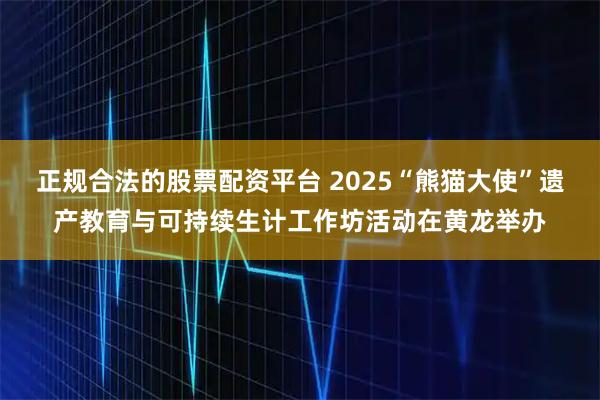 正规合法的股票配资平台 2025“熊猫大使”遗产教育与可持续生计工作坊活动在黄龙举办