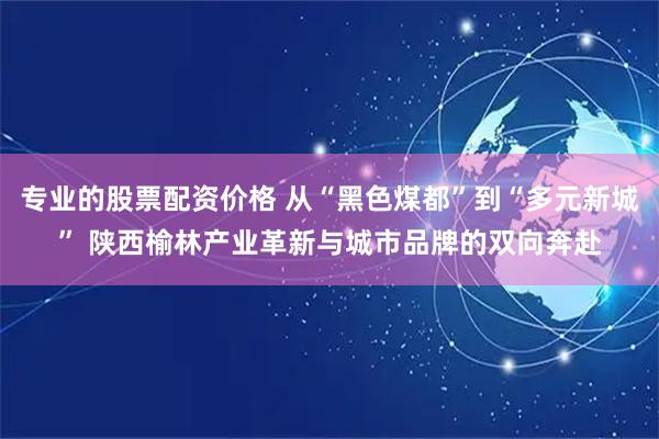专业的股票配资价格 从“黑色煤都”到“多元新城” 陕西榆林产业革新与城市品牌的双向奔赴
